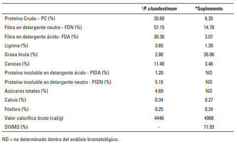 Suplementación energética aumenta producción de carne/ha en novillos