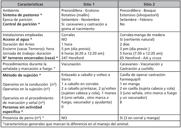 Castración temprana reduce estrés en terneros de carne