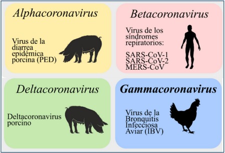 BI Aviar: Efectos en producción y calidad de huevos