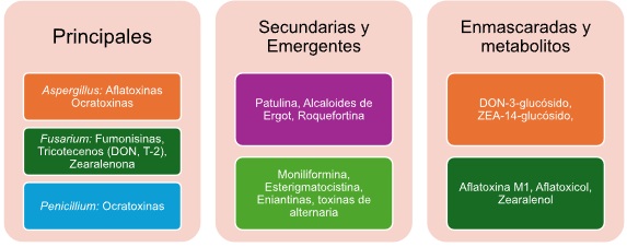 Clasificación y relevancia de micotoxinas emergentes
