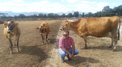 Diagnóstico temprano de preñez en vacas lecheras