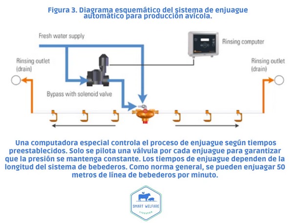 Diagrama esquemático de un sistema de enjuague automático avícola