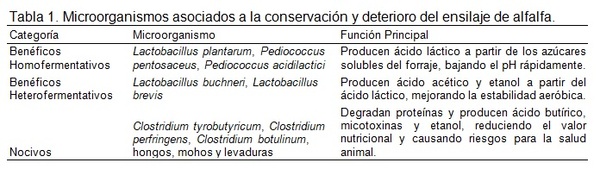 Materia Seca Óptima en Ensilaje de Alfalfa