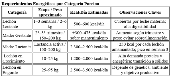 Cálculo de Densidad Energética en Alimentos Porcinos