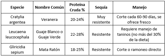 Estrategias Genéticas para Adaptación Tropical en Lechería