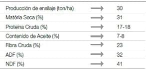 Silo de Soja: Alternativa Nutricional para Ganado Lechero