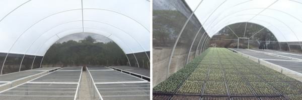 con película de PE UV4 Cultivo de Semillas y de Plantas Protección contra Lluvia y radiación UV Garden Point Tunel Semillero Invernadero| Invernadero de jardín 1,4 x 1,8 x 0,94 m 