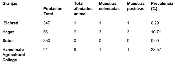 Lesiones de Dermatofilosis en Bovinos Jóvenes