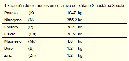 Protocolo de Manejo del Cultivo de Plátano - Engormix