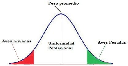 Estrategias para Alta Uniformidad Pre-Postura