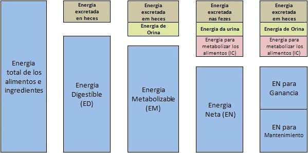 Requerimientos Nutricionales Cerdos. Engormix