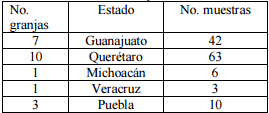 Hallazgos de Coinfección Viral en Cerdos