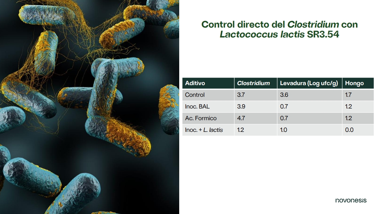 SiloSolve® MC - Inoculante para Silo