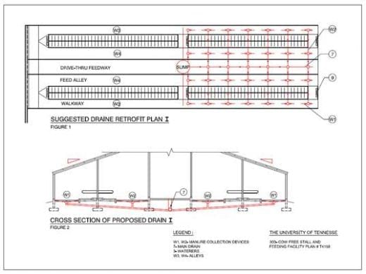 dairy farm design layout