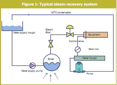 Steam Pipeline System for Feed Manufacturing - Engormix