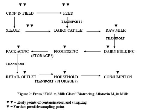Mycotoxins In Food Aflatoxin In Milk Engormix