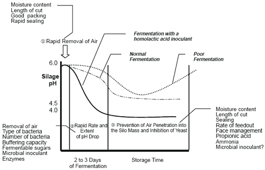 factors affecting fermentation rate