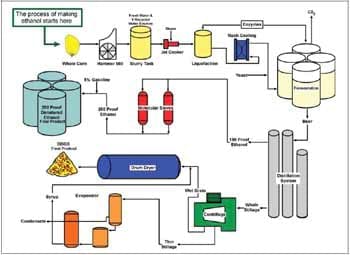 Distillers grains in cattle diets: Opportunity or Challenges - Engormix