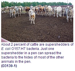 Supershedders” Role in Spreading E. coli Scrutinized Supershedders” Role in Spreading E. coli Scrutinized