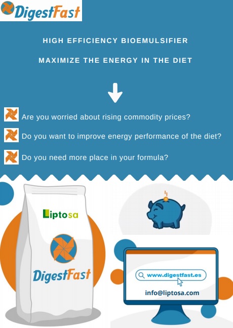 Bioemulsifier DIGEST FAST® reduces your production cost without compromising zootechnical performance. - Image 1
