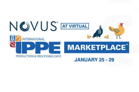 Novus to present research at virtual IPPE this month - Image 1