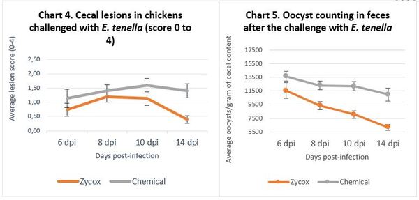 Natural tools to prevent avian coccidiosis - Image 2