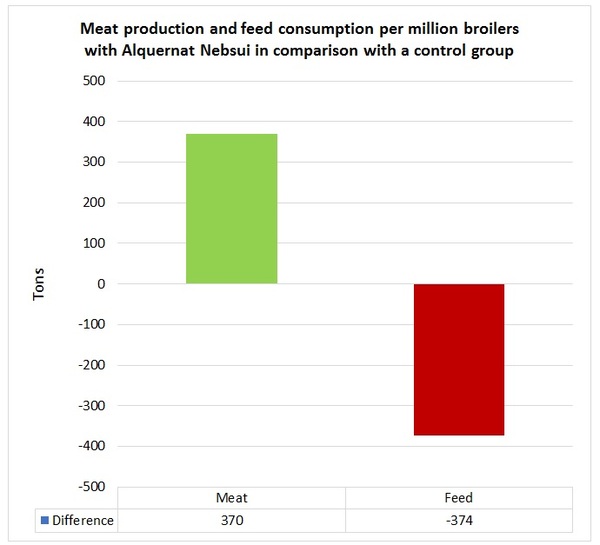 Alquernat Nebsui is a safe bet to improve poultry sector’s profitability - Image 4