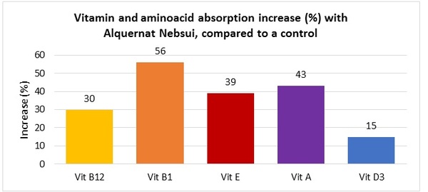 Alquernat Nebsui is a safe bet to improve poultry sector’s profitability - Image 2