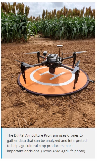 Digital agriculture connects dots for crop improvement - Image 1