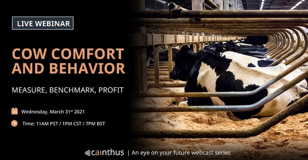 Live webinar: Cow comfort and behavior - Image 1