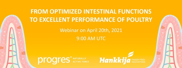 Webinar: From optimized intestinal functions to excellent performance of poultry - Image 1