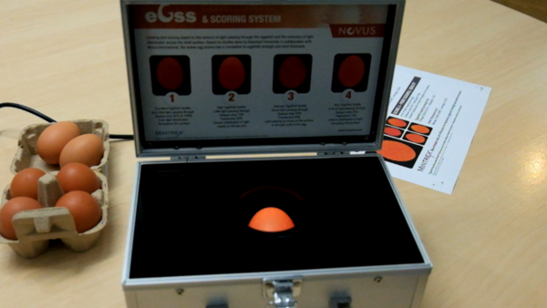 Novus Support Layer Producers with an Innovative System to Measure Eggshell Strength - Image 1