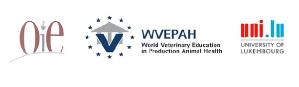 WVEPAH course ‘Egg Layers’ is available online - Image 1