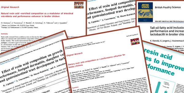 New scientific article: Dietary resin acids improve broiler performance, litter quality, and efficiency of broiler production - Image 2