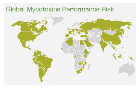 Cargill issues 2021 world mycotoxin report - Image 1