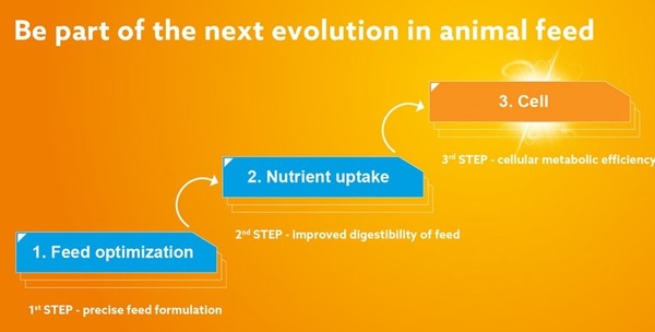 Cellular Nutrition is the 3rd Evolution of Animal Nutrition - Image 1