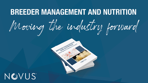 Leading Industry Insights from Poultry Experts at your Fingertips - Image 1
