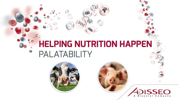 Palatability in Swine - Helping Nutrition Happen - Engormix
