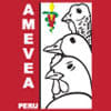 Amevea Perú 2013 VII Seminario Internacional