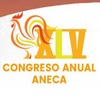 XLV Convención Anual ANECA 2021