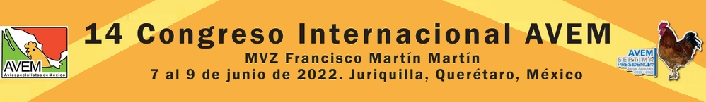 XIV Congreso Internacional AVEM 2022