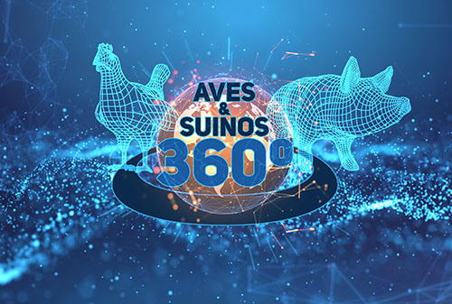 Aves & Suínos 360º - Summit 2022