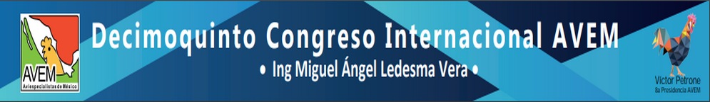 XV Congreso Internacional AVEM 2023