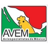 XVII Congreso Internacional AVEM 2025