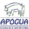 XXXII Congreso Porcicultura de Guatemala APOGUA 2025