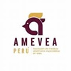 XIV Seminario Internacional & XII Expo Amevea Perú