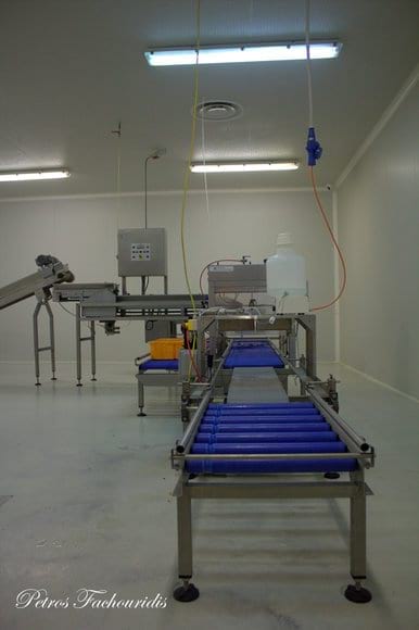 COUNTER CHICKS MACHINE & SPRAY VACCINES LINE | Engormix