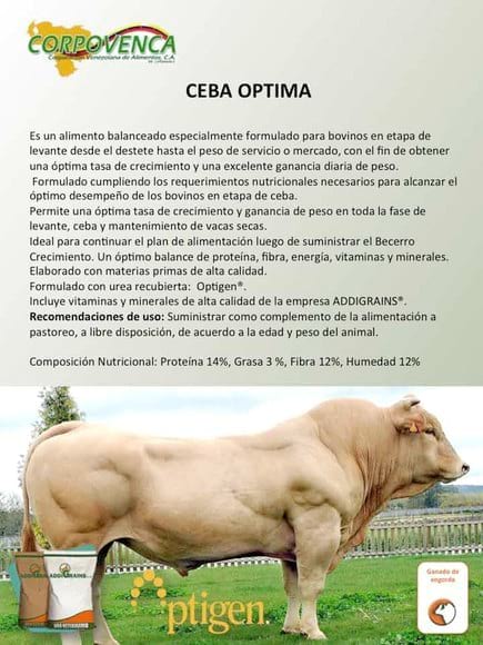 Ceba Optima Coprpovenca | Engormix