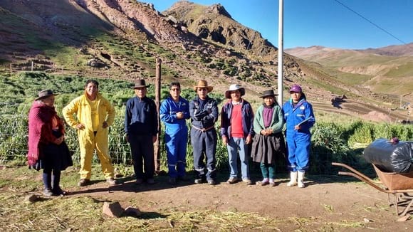 CARHUANCHO Y SUS PRODUCTORES ALPAQUEROS Engormix