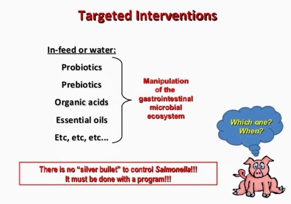 Poultry gut health | Engormix
